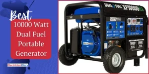 Best 10000 Watt Dual Fuel Portable Generator